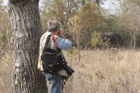 Ghana: Mole National Park